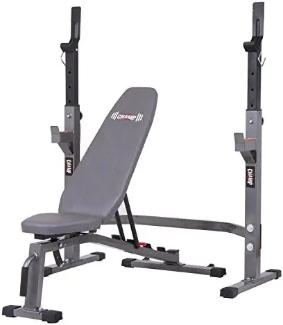 Weight Bench with Squat Rack Included, Two Piece Set, Workout Bench, Versatile Strength Training Equipment for Home Gym, PRO3900