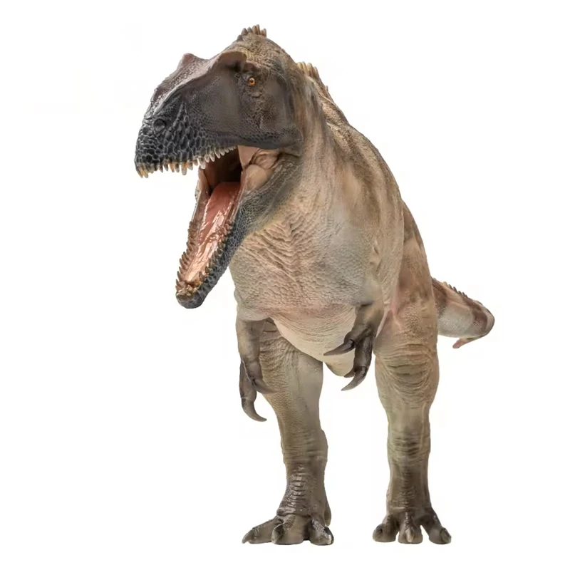 

Acrocanthosaurus Fergus Dinosaur King Growth Companion Model 61 Boutique Simulation Dinosaur Toy Handmade Highly Restored