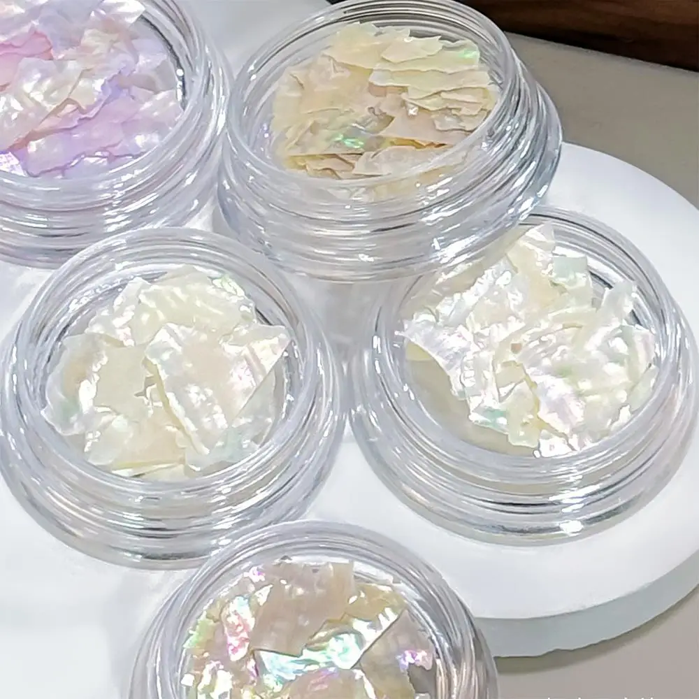 1Box 3D Summer Abalone Shell Nail Charms Ultra-Thin Irregular Shell Slices Nails Art Decoration Aurora Shells Manicure Accessory