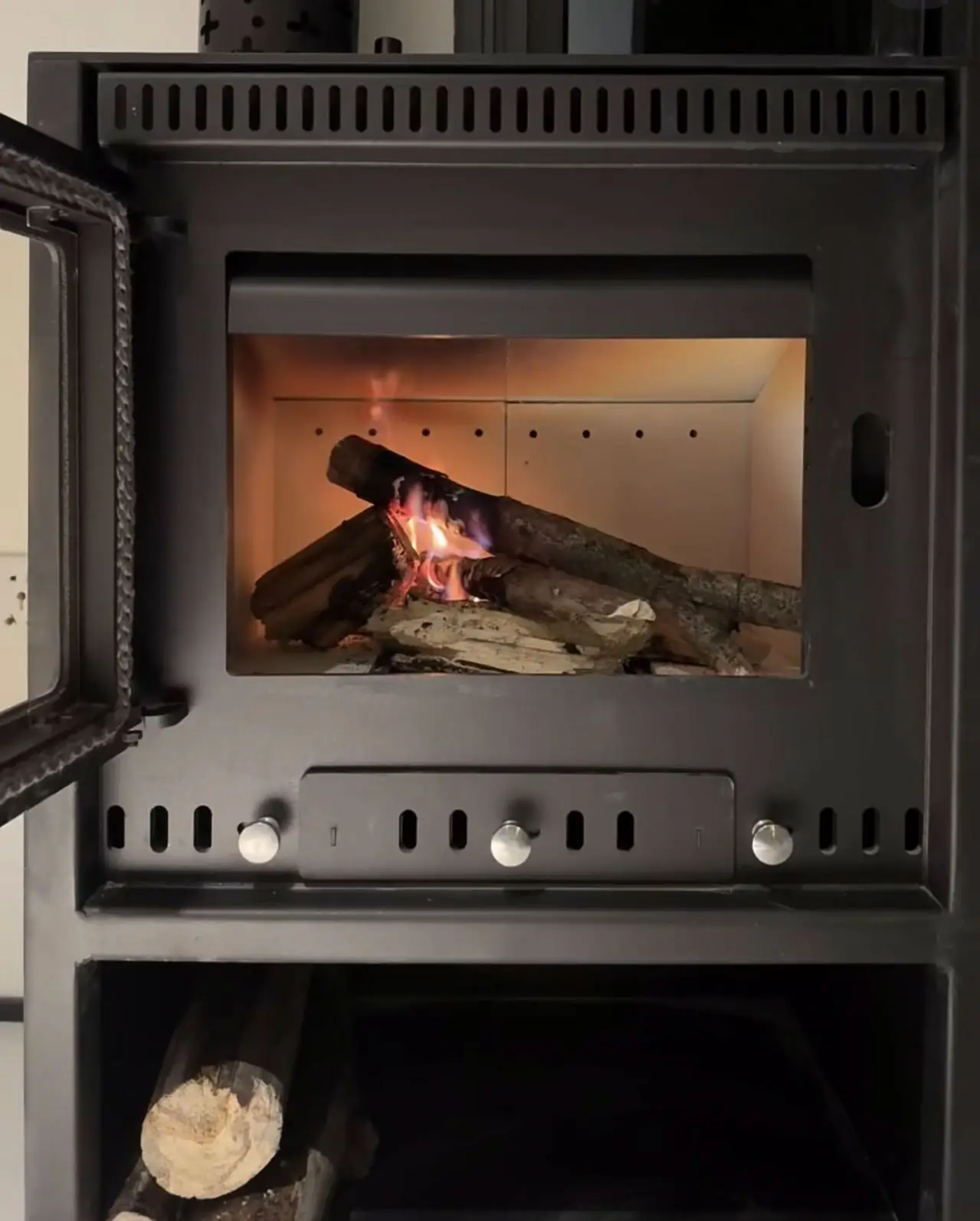 

Zhuwei Modern Design Steel Fireplace Free-Standing Installation for Dining in Apartments Hotels Wholesale Price for Retailers