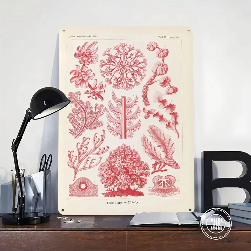 Vintage Botanical Illustration of Red Algae Personalized 3D Textured Metal Poster Wall Art Vintage Tin Signs for Room Decor Home