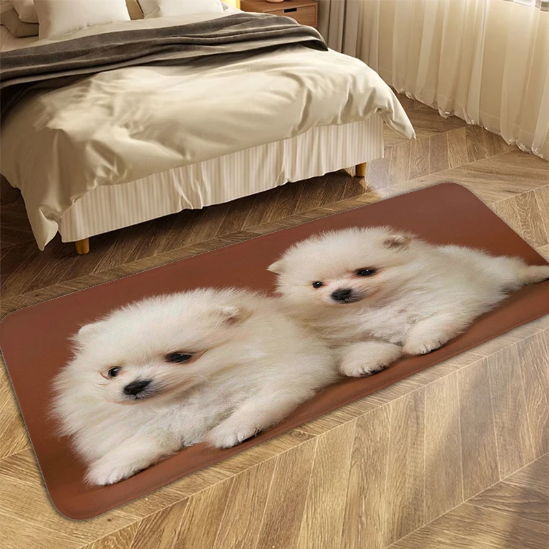 Washable Non-slip Mats Pomeranian Anime Carpet for Bedroom Custom Rugs Aesthetic Carpet Entrance of House Interior Entrance Mat image 3