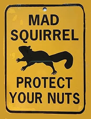 Eeypy Warnschild „Mad Squirrel Protect Your Nuts“, lustiges Aluminiumschild, Blechschilder für Männerhöhle – Aluminium
