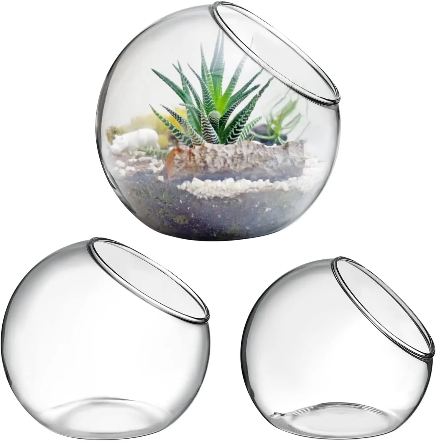 

3 Pcs Glass Terrariums Bowl for Plants, Terrarium Jar for Air Plant Clear Globe Vase Glass Bowl for Home Desktop Decor