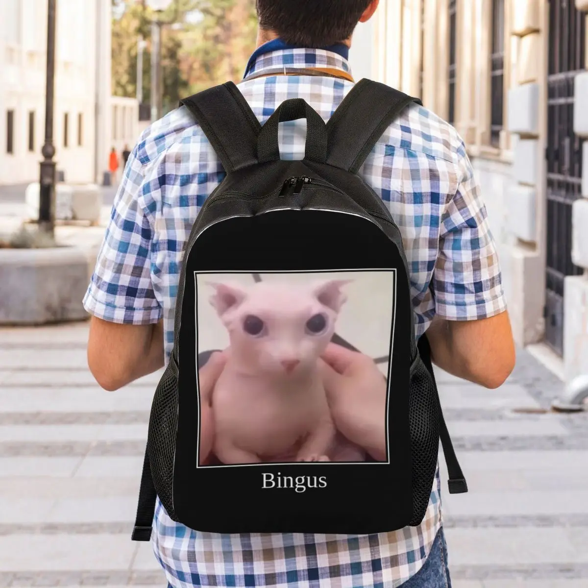 Mochila de texto personalizada Bingus para mulheres e homens, mochila casual para escola, faculdade, sphynx, gato Meme sacos