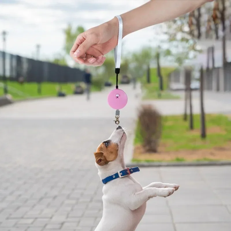 Retractable mini dog leash, portable tension-free leash, wrist strap, one-hand brake, suitable for small dogs and cats