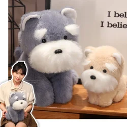 22/35/45cm Fluffy Plush Schnauzer Baby Dog Stuffed Puppy Peluche Plushie for Boy Big White Bearded Dog Birthday Gift for Kids