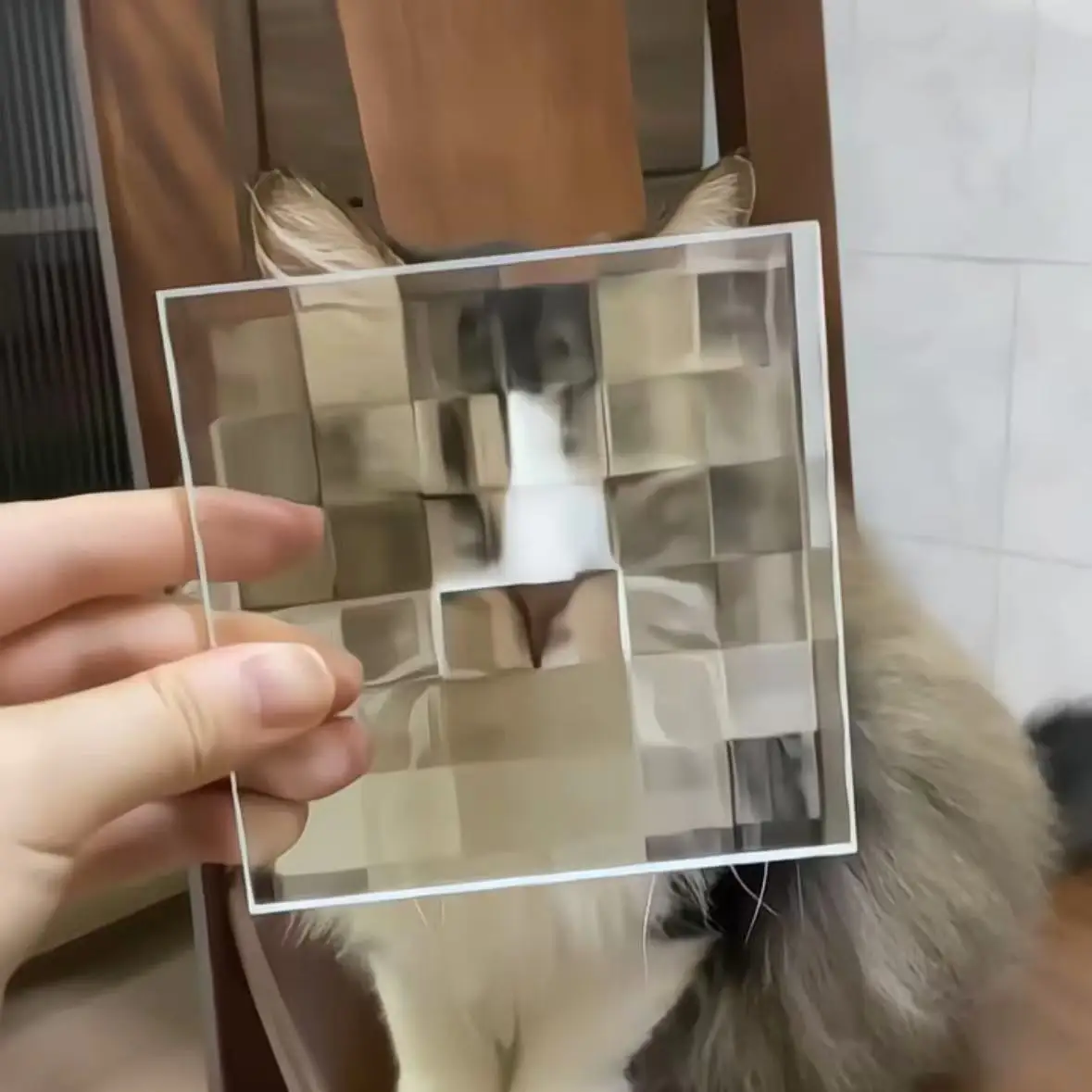 �y�Z�[�����z�N���G�C�e�B�u���U�C�N�K���X�s�N�Z���L�y�b�g�������ᑕ���N���X�^���^�C���ʐ^�B�e������Ƃ̑������ʐ����`�f�U�C��