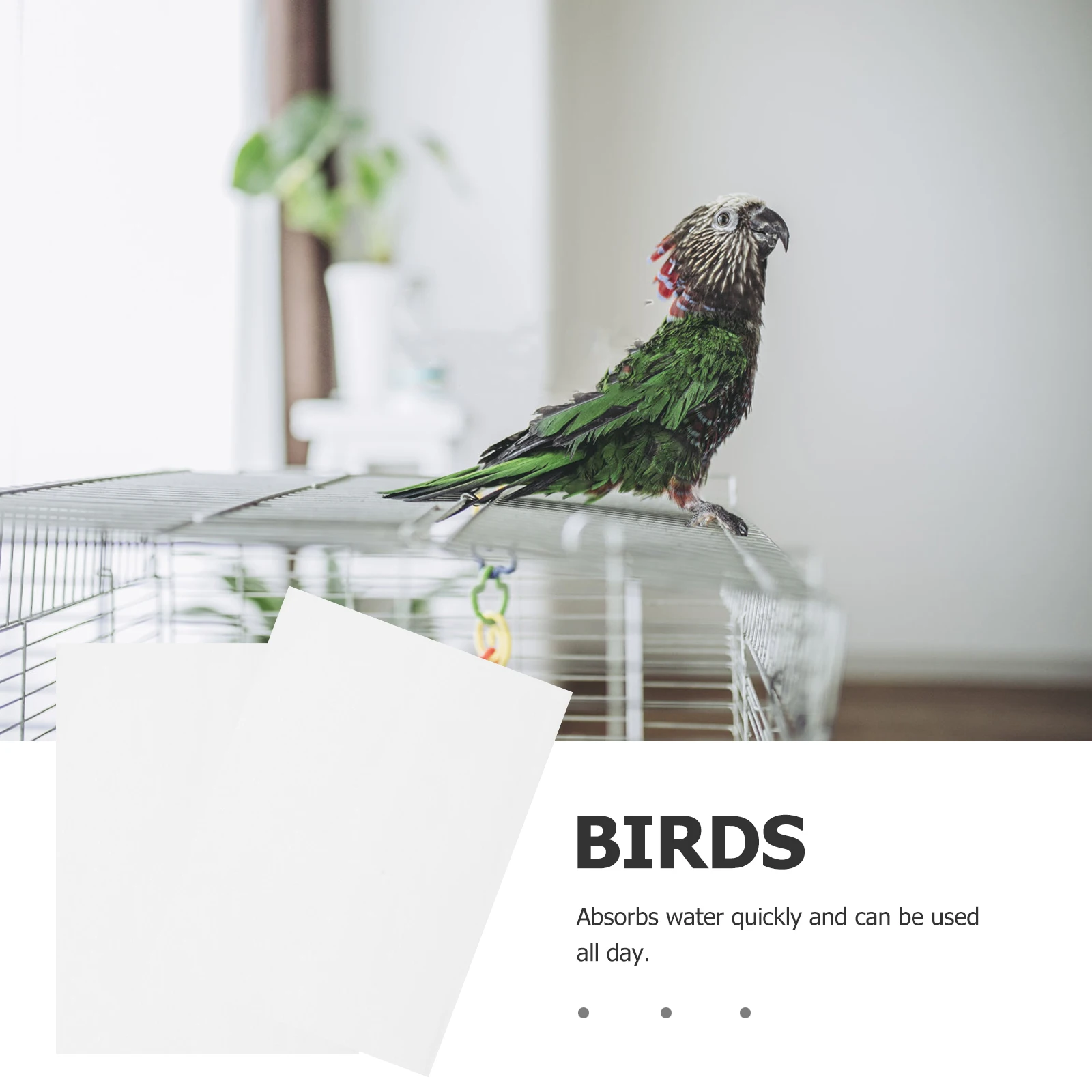 

100 Pcs Disposable Water-absorbing Chassis Bird Pads for Cage Liner Cushion Liners Parrots Supplies