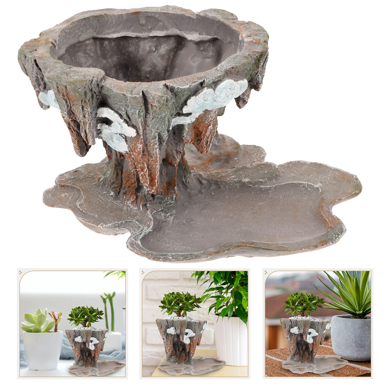 

Vintage Flowerpot Succulent Planters Pots Succulents Nursery Resin Planting Holder