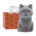gray cat