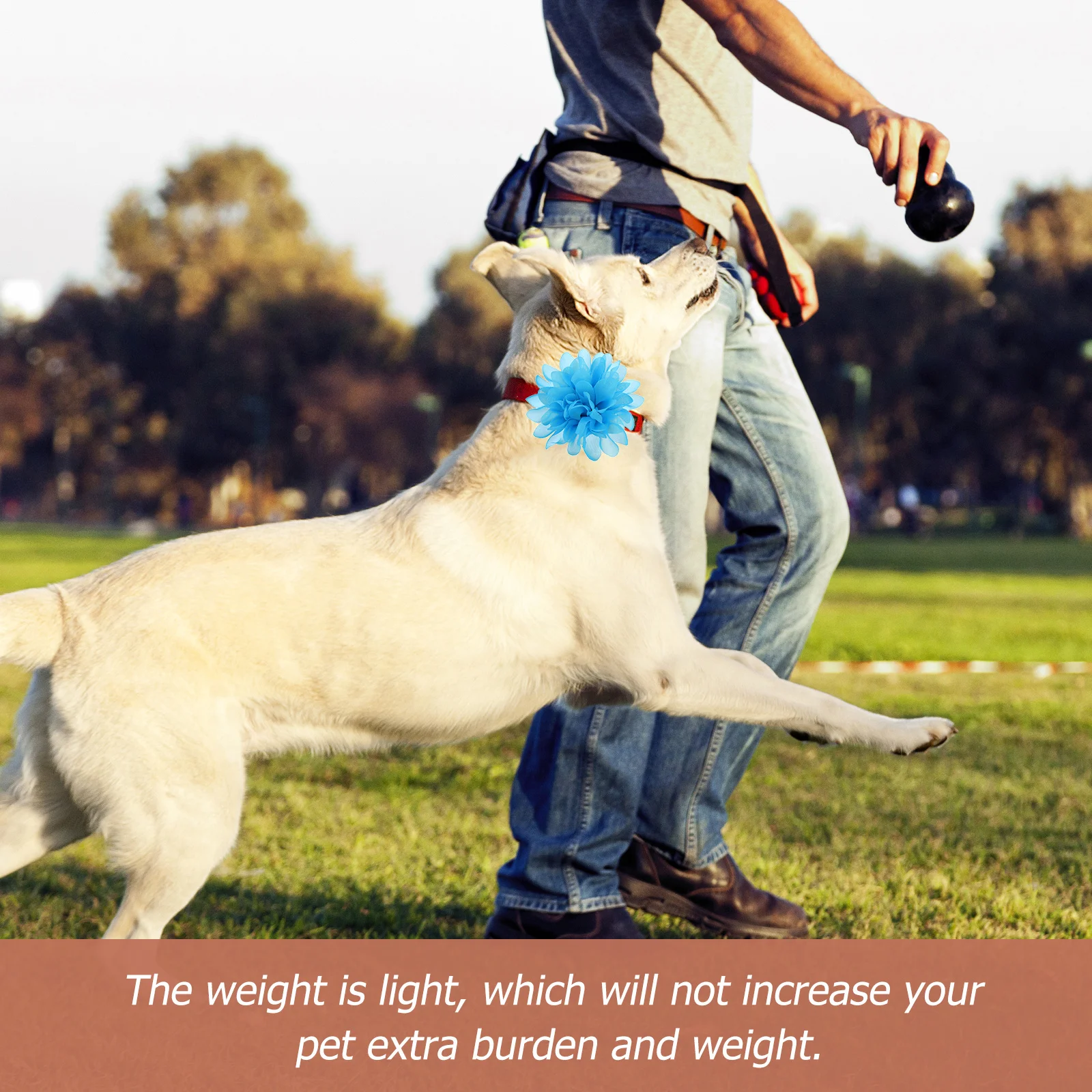 

1Set Cat Dog Collars Flower Design Premium Material Adjustable Pet Costume Decor for Weddings Birthdays Parties