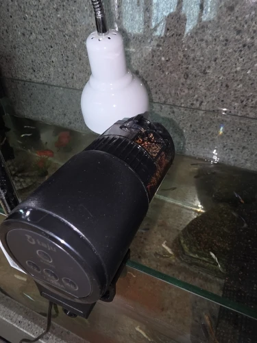 구매후기