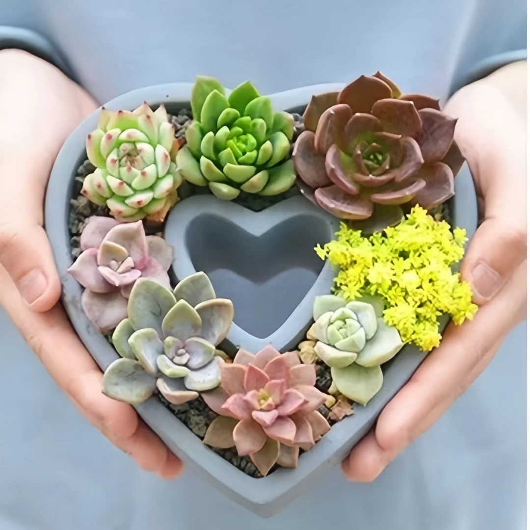 

Heart Shape Flowerpot Mold Big Size Flower Pot Concrete Silicone Mold Love Succulent Container Cement Microlandscape Mold