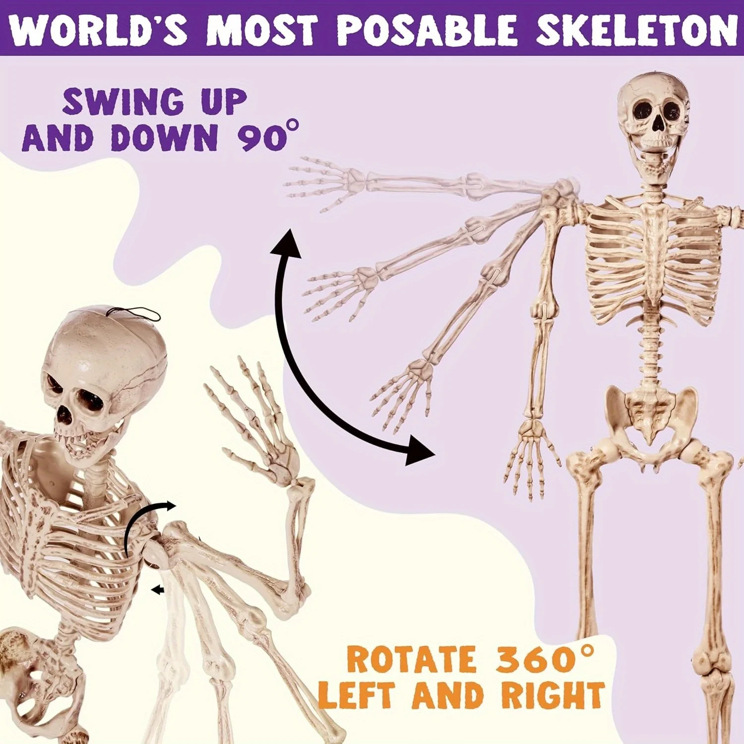 Photobooth props 5.6 FT Halloween Posable Life Size Skeleton Full Body Realistic Bones with Movable Joints for Halloween Indoor aecorations (Yellnd Outdoor Decoration Props Spooky Scene Party Dow)