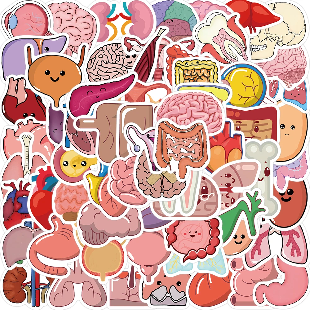 65Pcs Human Body Organ Stickers Cartoon Waterproof Sticker DIY Decals for Water Bottle Laptop Luggage Phone Kids Toys