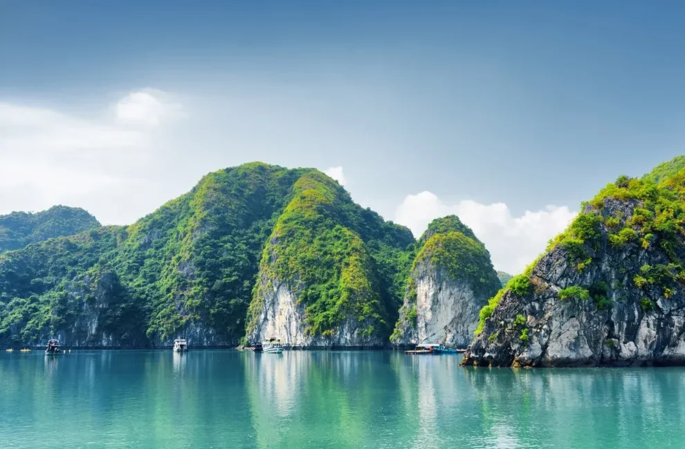 

HGLRC 2025 New SPECTER 1804 Brushless Motor - 2450KV 4-6S, Compatible with 5-6inch Propellers for FPV Freestyle Drones DIY Parts