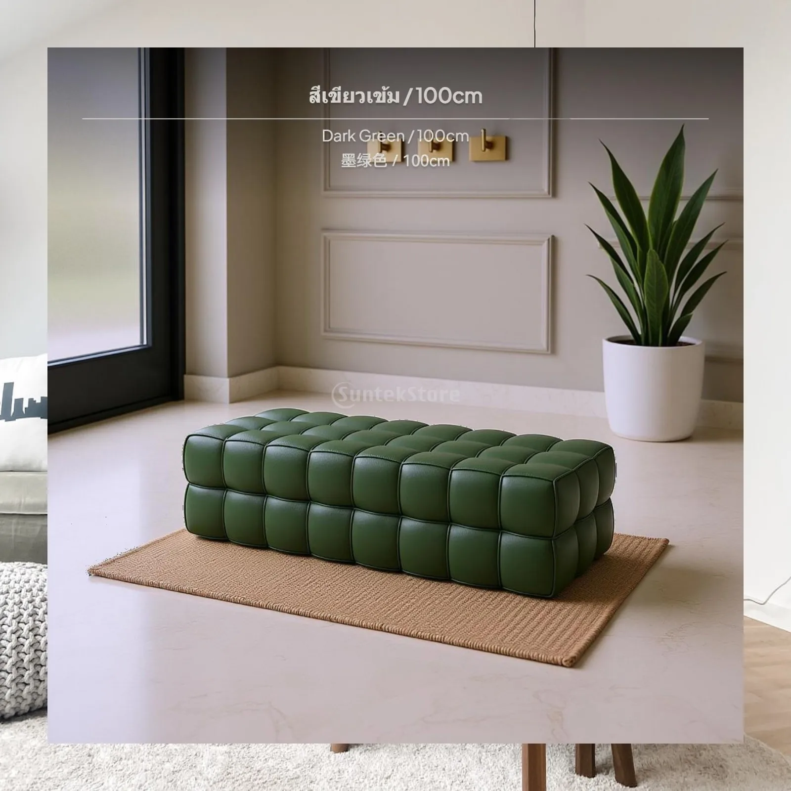 Storage Stool Cushioned Shoe Bench Soft Chair for Outdoor Armchair and Living Room Modern Home Decor