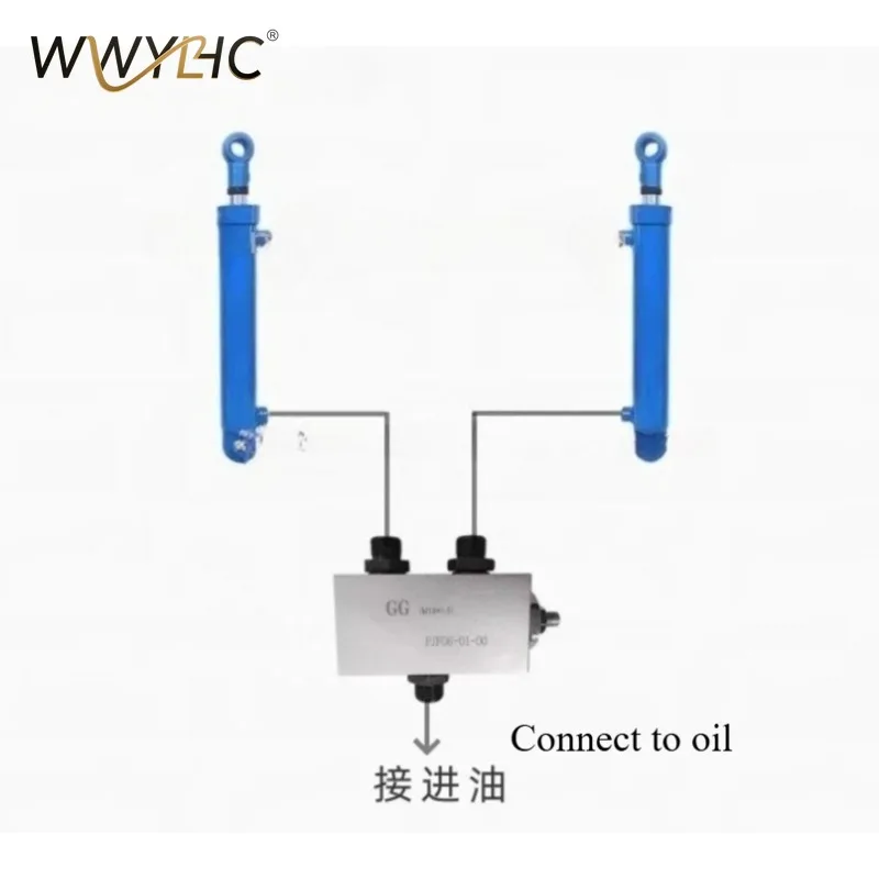 Hydraulic Synchronous Valve Diversion Valve Two Cylinders with The Same Lift and Drop Balance Valve FJF06-01-00 Balancer