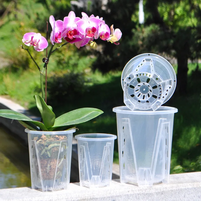 5pcs Plastic Root Control Transparent Flower Pot Breathable Beautiful Phalaenopsis Orchid Pots With Stomata