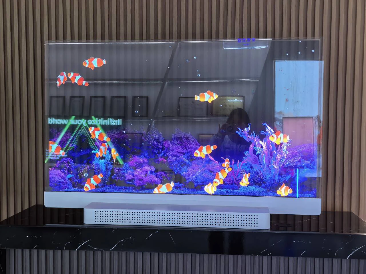 Factory Price 55-Inch OLED Indoor Display 2024 Hologram Billboard 3D Giant Real for Retail Store Elevator Wayfinding Indoor