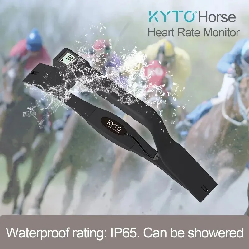 Horse Heart  Rate Sensor Monitor Rapid measurement with Backlight LCD Water Proof High accuracy KYTO2596