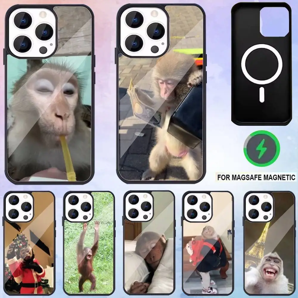

Monkey Sipping Caprisun Meme Phone Case For iPhone17,16,15,14,13,12,11 Plus,Pro Max Magnetic Magsafe Wireless Charging