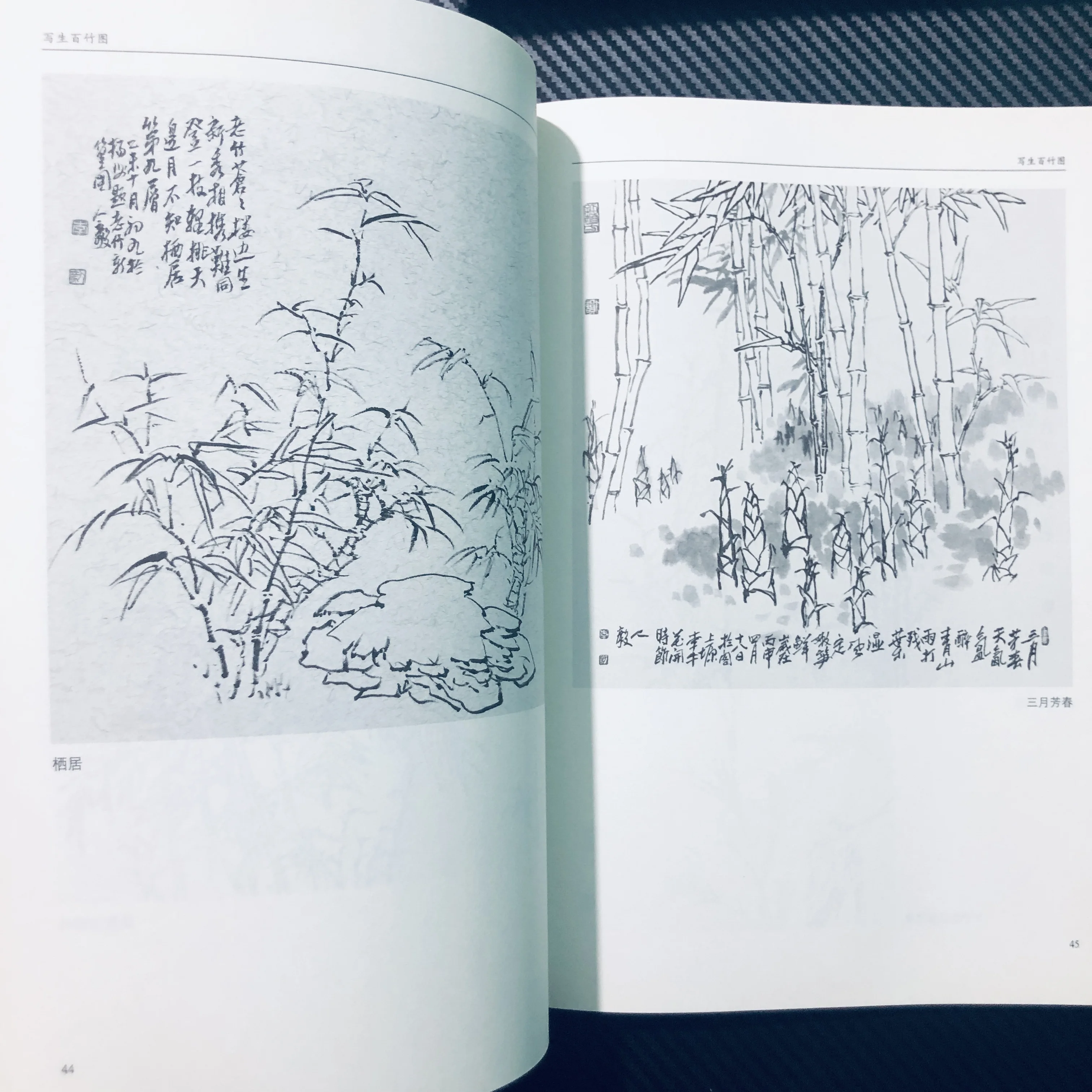 100 Bamboo Sketches: Botanical Drawing Techniques with Ink Wash & Composition Guide