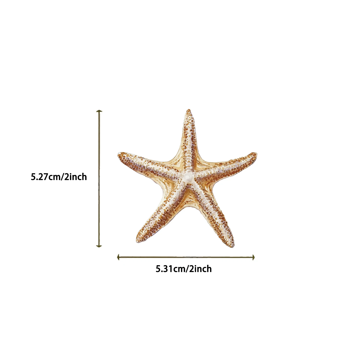 50PCS Marine Life Stickers Octopus Shell Fish DIY Scrapbooking Stationary Travel Luggage Car Laptop Waterproof PET Sticker