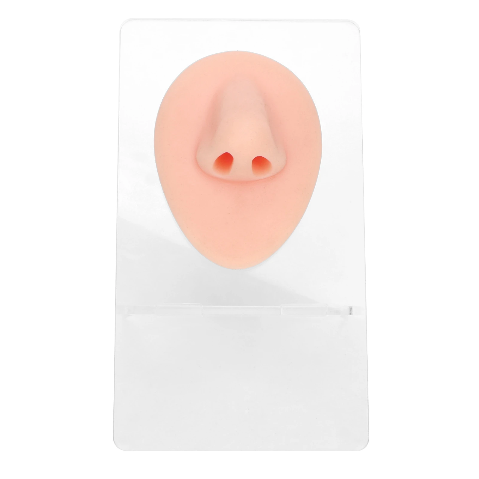 Silicone Piercing Body Model Reusable Soft Piercing Body Part Model 3D Vivid with Display Rack for Display for Jewelry Stores