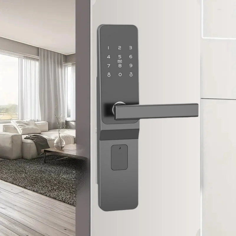 

APP Smart Door Lock Anti Theft Electronic Lock Hotel IC Card Remote Control Apartment Password Opening with Key and Lock Body