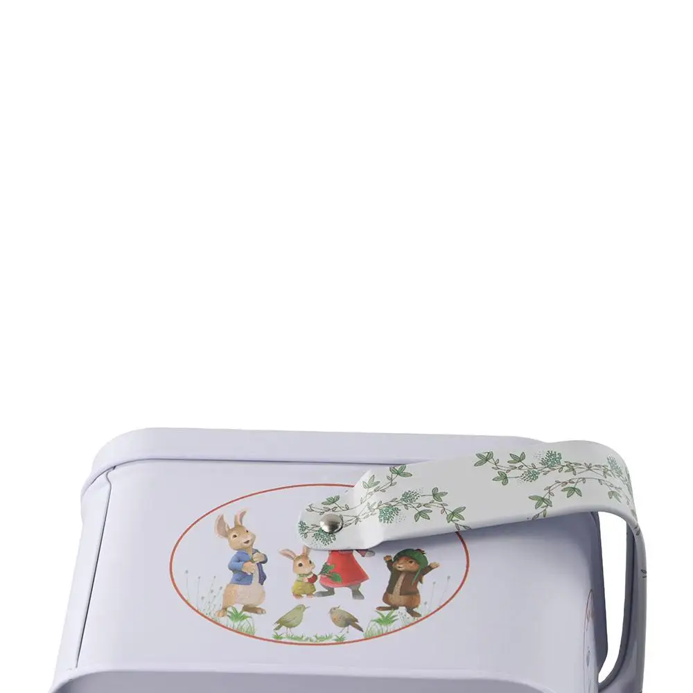 

Small Rabbit Printed For Wedding With Lids Party Decorative Birthday Storage Can Storage Box Organizer Box Gift Box