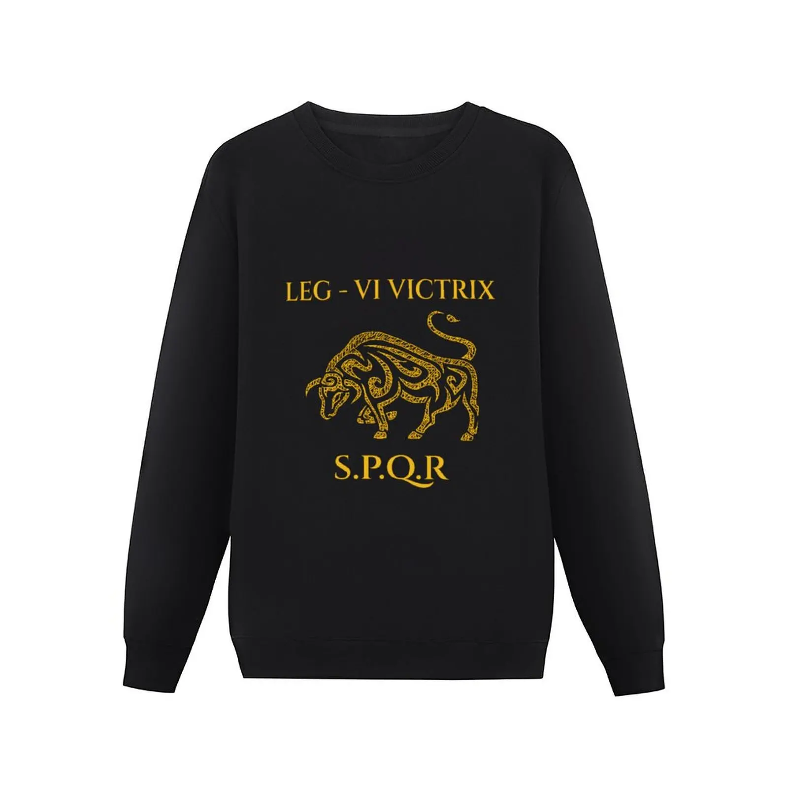 Victorious Sixth Legion Pullover Hoodie aesthetic clothing sweatshirt male