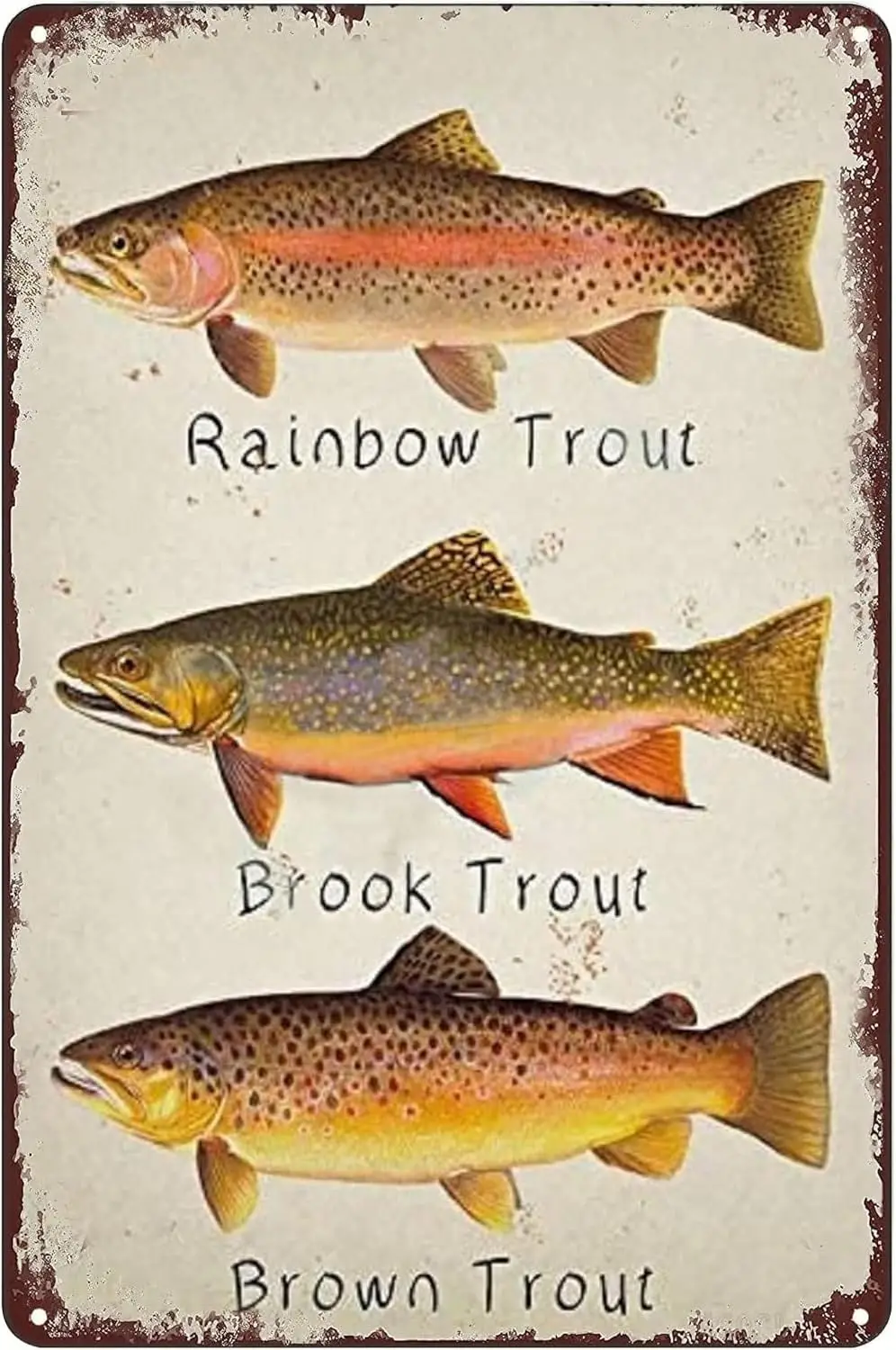 UBVJED Tin Decor Vintage Rainbow Trout Brook Trout Brown Trout Poster Vintage Metal Tin Sign Wall Art Decor Plaque for Home sign