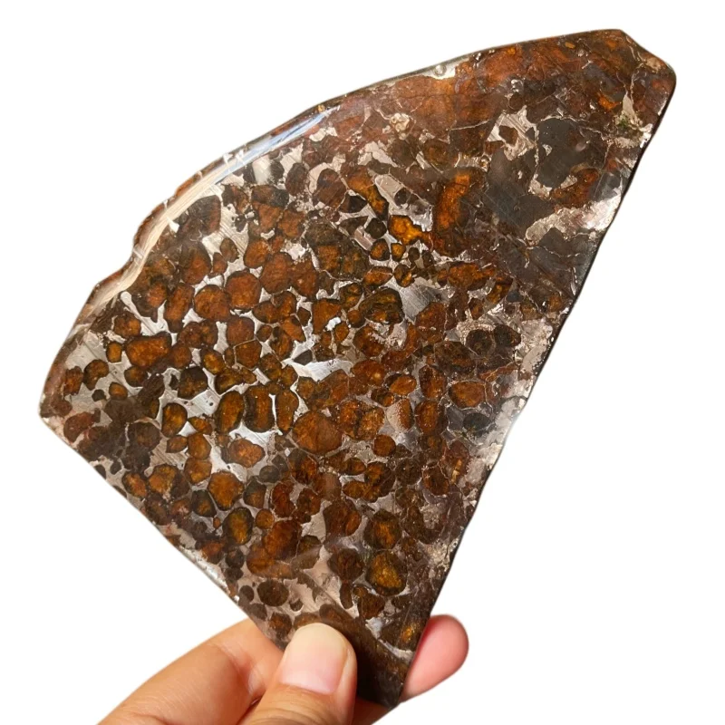Natural Sericho Pallasite Meteorite Polished Triangular Slice Transparent Olivine Crystal Space Collectible TA807