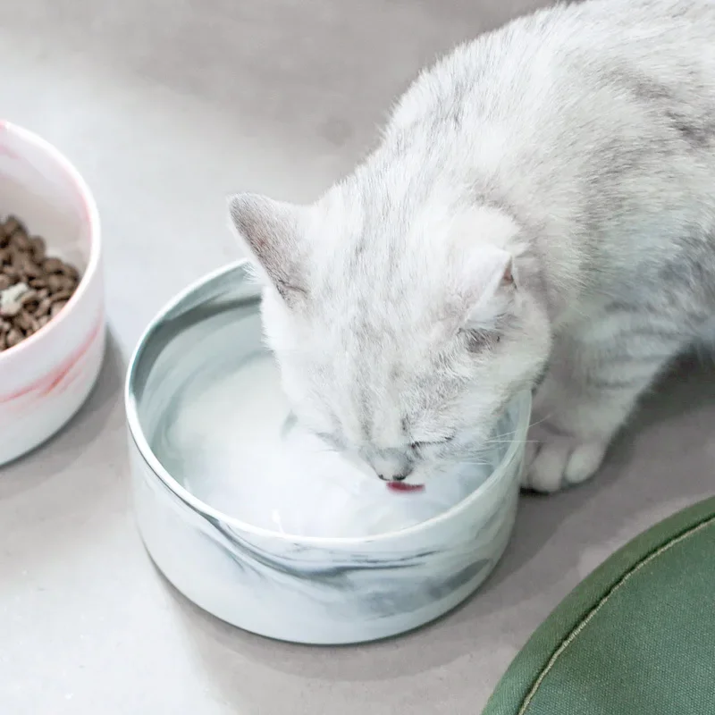 Marbling Cat Ceramics Bowl with Wood Stand Pet Double Bowls for Food Water Small Puppy Dogs Elevated Feeding Supplies