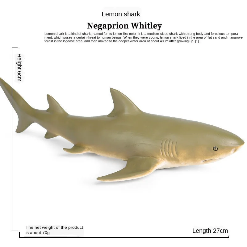 55x24x17cm grande vida marinha macio grande tubarão branco modelo figuras de ação animais do oceano grande tubarão coleção brinquedo para o presente do miúdo