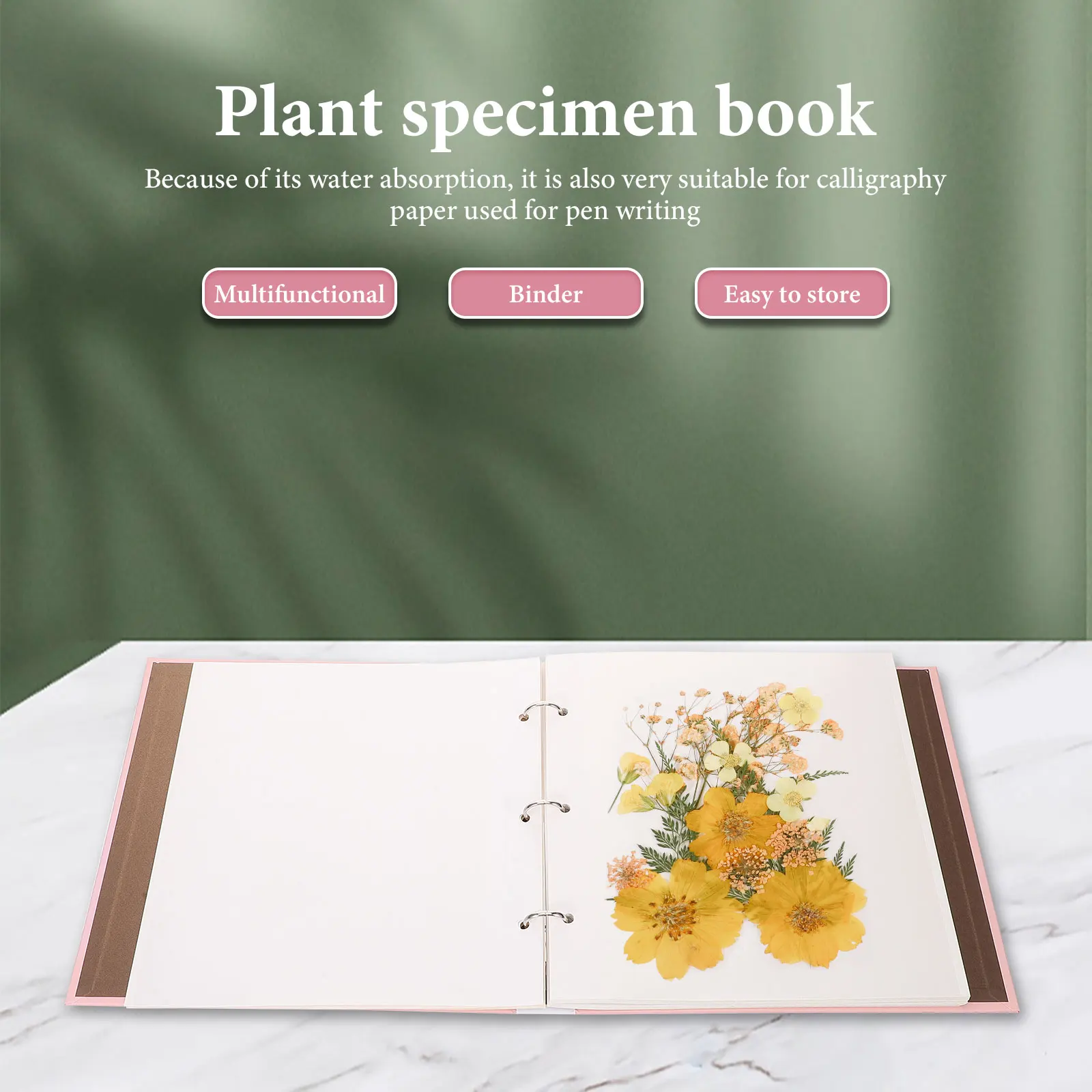 

Sticky Plant Specimen Book Multifunctional Paper Material Loose Leaf Album Pressed Flower Storage Album Ideal for Leaf Pressing