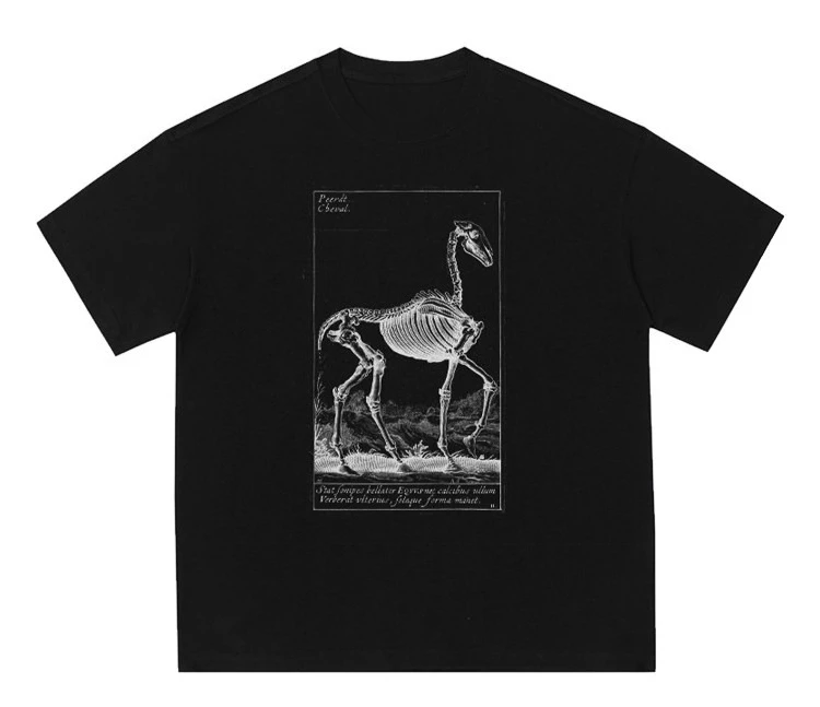 2026 new Black Crew Neck T‑shirt Vintage Equine Skeleton Anatomy Engraving Art Front‑Print Unisex Cotton Short Sleeve Tee