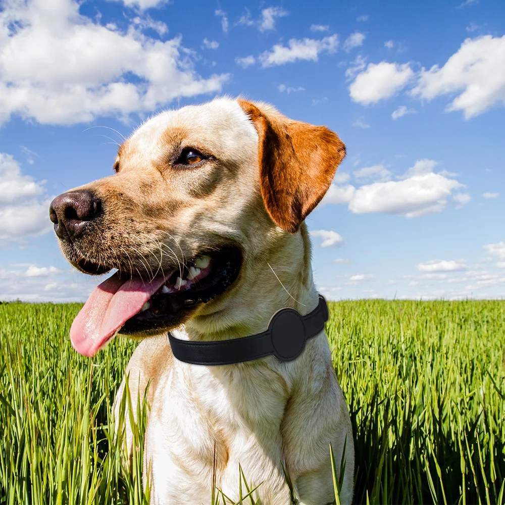 Für Apple Airtag Schutz Tracker wasserdicht Haustier Hund Anti-Lost Position ierung Silikon Pu Halsband Anti-Lost Haustier Katze Hunde halsband – Detail 13