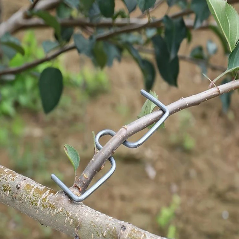 Obst Baum Zweig Form Fixateur Garten Hof Bäume Unterstützung Halter Pflanzen Reben Trainer M-Förmigen Stahl Draht Zweig Biegen werkzeuge