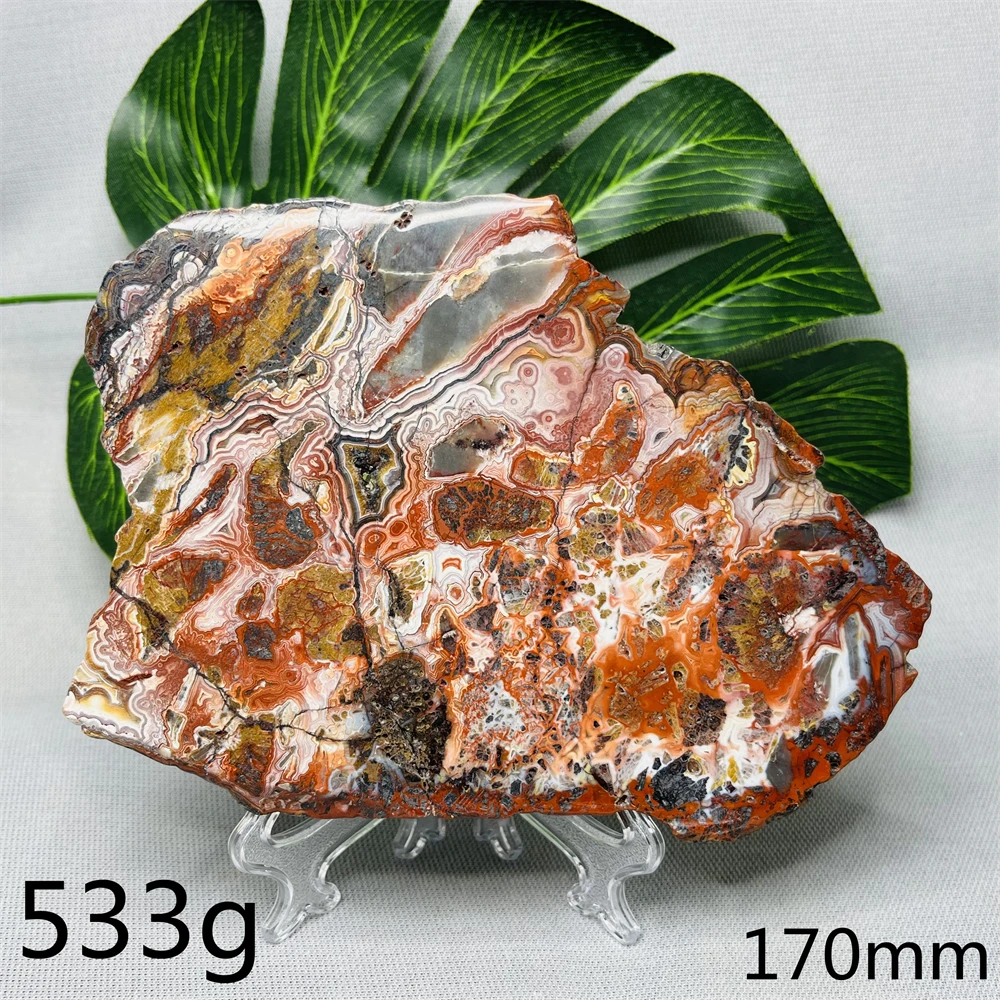 zoob miley zoob miley