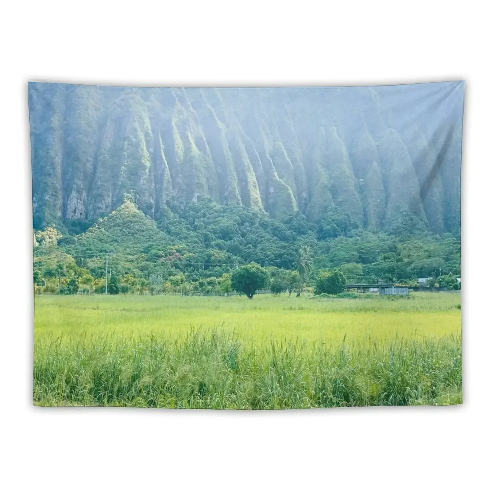 

Koolau Range on Hawaii (Oahu) Tapestry Cute Room Decor Anime Decor Tapestry