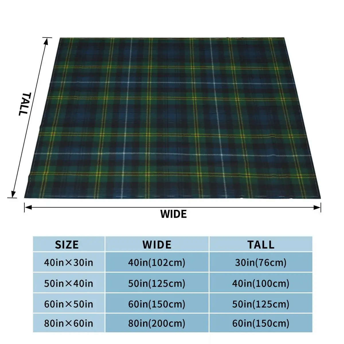 Dyce Scottish Tartan An Ultra-Soft Micro Fleece Blanket