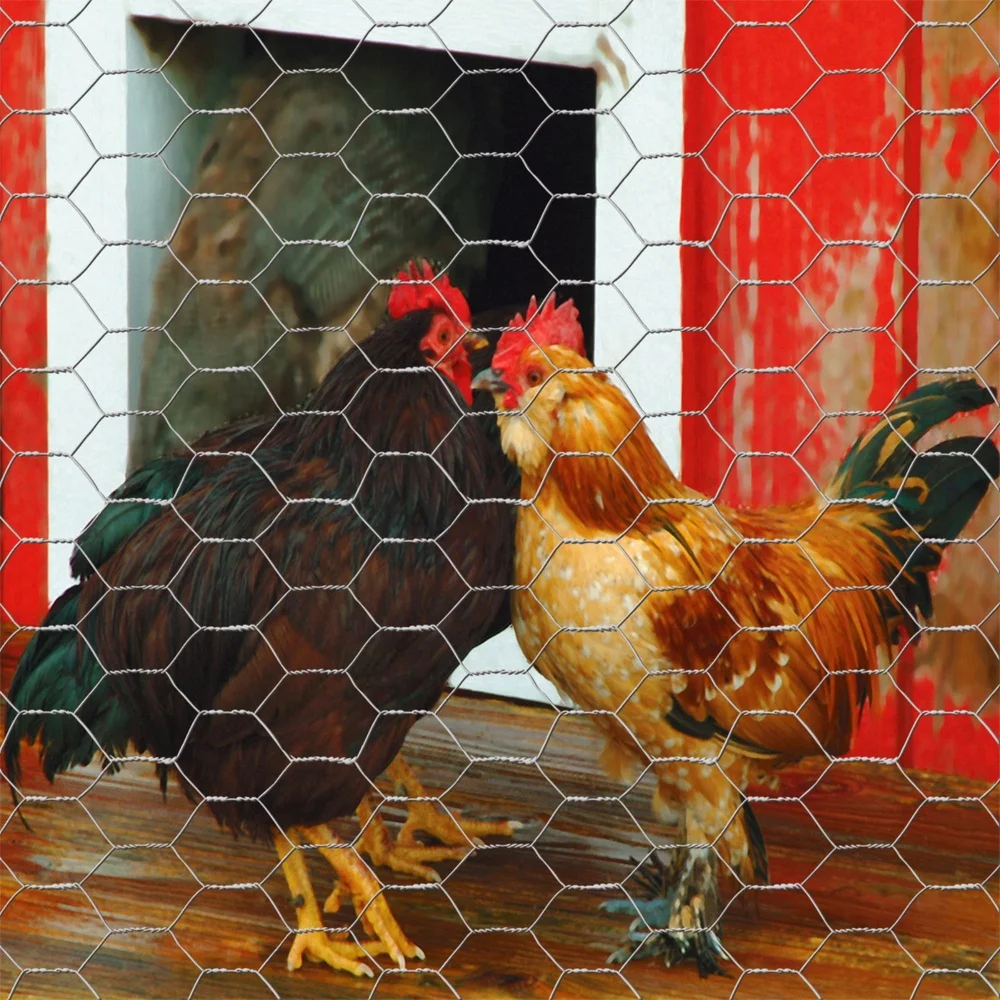 เหล็กชุบสังกะสีไก่ม้วนลวด 24in x 50ft น้ําหนักเบาทนทานตาข่ายหกเหลี่ยมสัตว์บรรจุรั้วสวนโรงงาน