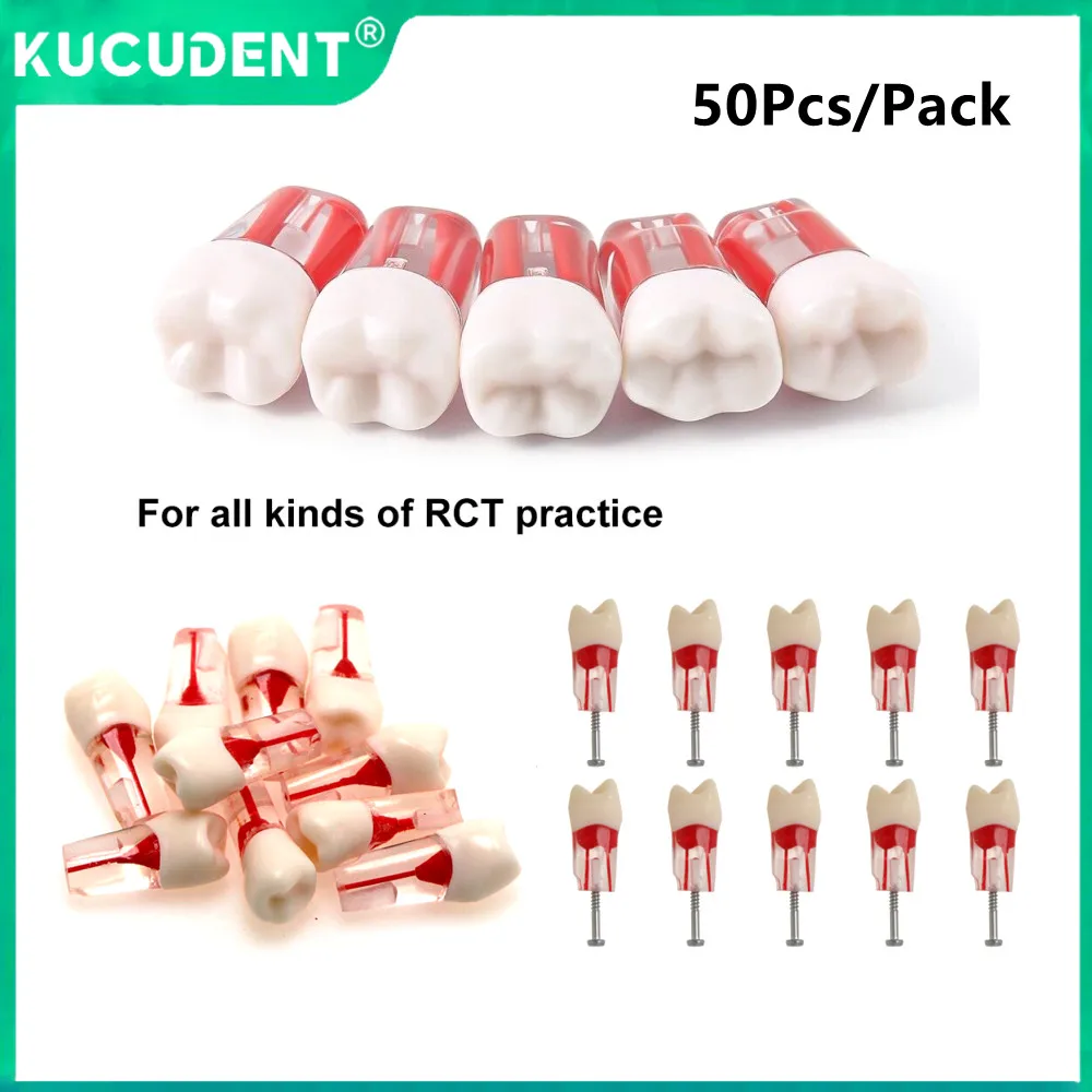 

50 Pcs Dental RCT Endo Teeth Model M8006 Endodontic RCT Root Canal Block with Pulp Cavity Resin for student Training Education