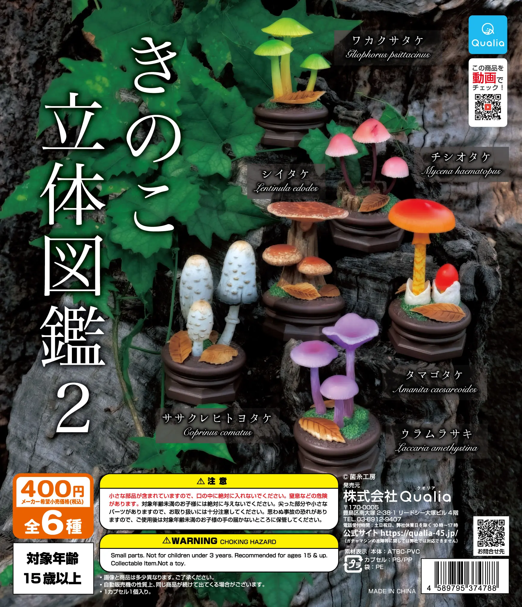 

Qualia capsule toys cute 3D Mushroom Encyclopedia Visual Dictionary 2 wooden stand leaves ornaments gifts collection figures