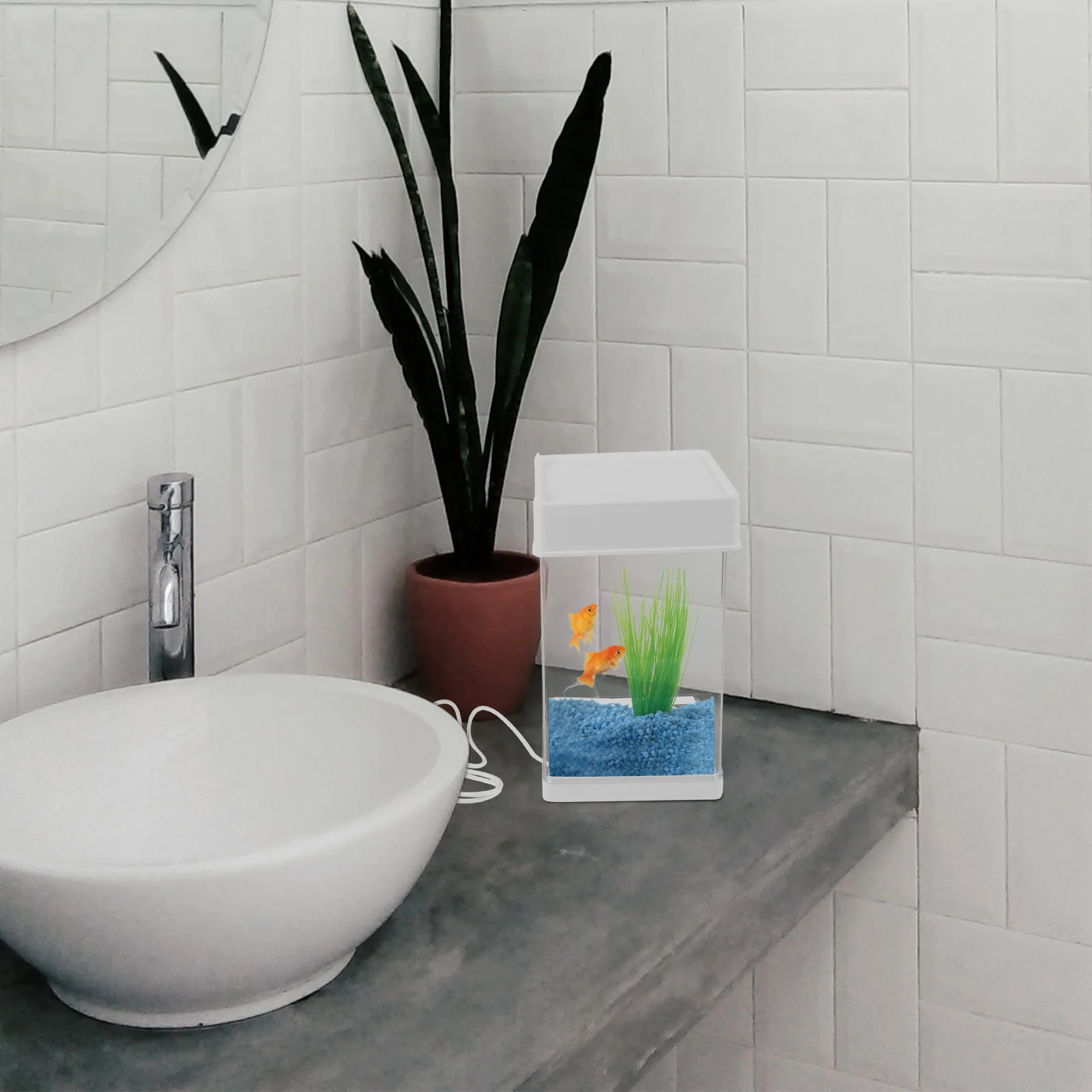 

Plastic Fish Tank Transparent Small Aquarium Desktop Decor Clear Lightweight Anti-Falling Reusable Longtime Safe Convenient Home