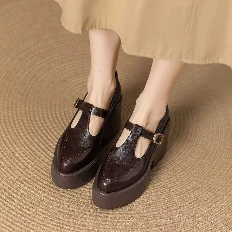 Chunky Platform High Heels Pumps Women Spring PU Leather Ankle Buckle Mary Jane Shoes Woman Brown Thick Heeled Sandals Loafers