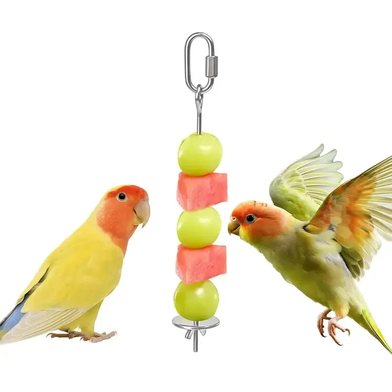 Stainless Steel Bird Foraging Skewer, Fruit Vegetable Holder for Parrots Parakeets, Enriches Diet & Encourages Natural Behavior